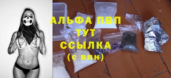 стафф Новодвинск