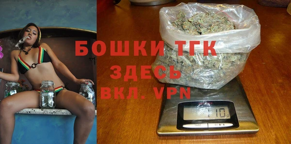 гашик Аркадак