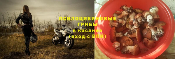 соль ск Арсеньев