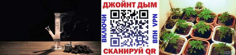 Конопля AK-47 omg рабочий сайт Бабаево где купить наркоту